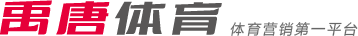 在NBA的